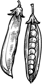 Иллюстрация к книге — Опровергая мифы о медицине. Вся правда о нашем организме [i_096.jpg]