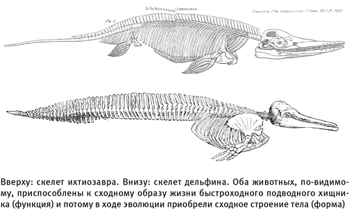 Иллюстрация к книге — Путеводитель зоолога по Галактике. Что земные животные могут рассказать об инопланетянах – и о нас самих [i_003.jpg]