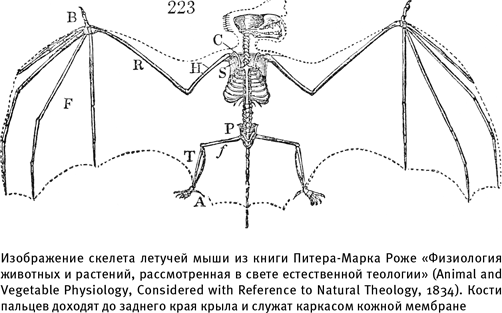 Иллюстрация к книге — Путеводитель зоолога по Галактике. Что земные животные могут рассказать об инопланетянах – и о нас самих [i_005.jpg]