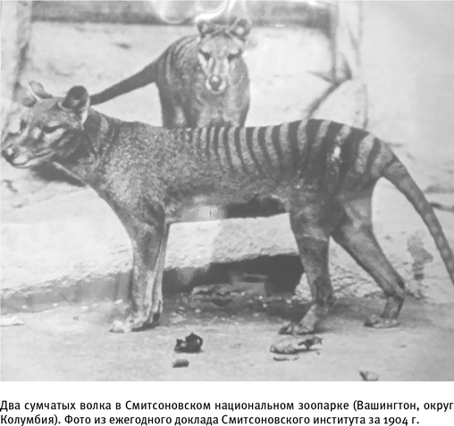 Иллюстрация к книге — Путеводитель зоолога по Галактике. Что земные животные могут рассказать об инопланетянах – и о нас самих [i_006.jpg]