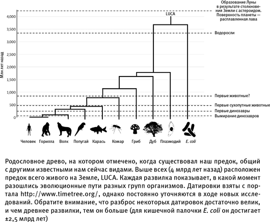 Иллюстрация к книге — Путеводитель зоолога по Галактике. Что земные животные могут рассказать об инопланетянах – и о нас самих [i_008.jpg]