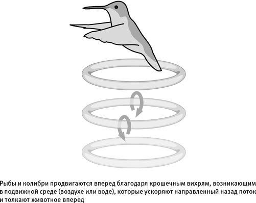 Иллюстрация к книге — Путеводитель зоолога по Галактике. Что земные животные могут рассказать об инопланетянах – и о нас самих [i_012.jpg]