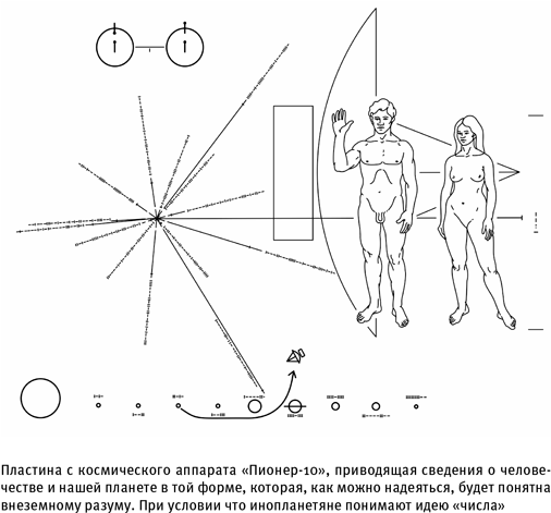 Иллюстрация к книге — Путеводитель зоолога по Галактике. Что земные животные могут рассказать об инопланетянах – и о нас самих [i_023.jpg]