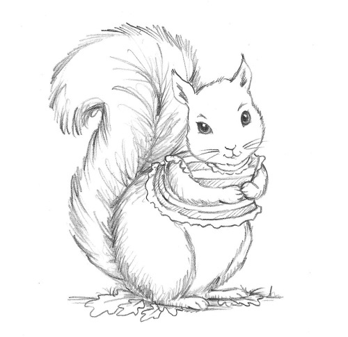 Иллюстрация к книге — Бельчонок Софи, или Осторожно, драконы! [i_001.jpg]