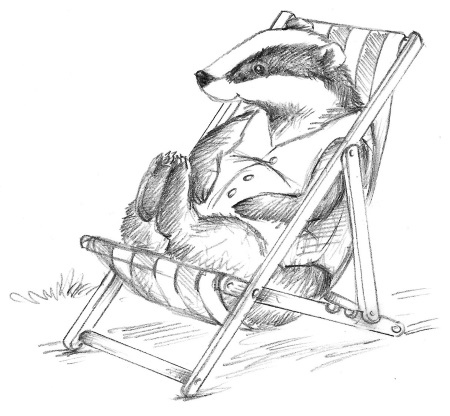 Иллюстрация к книге — Бельчонок Софи, или Осторожно, драконы! [i_025.jpg]