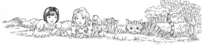 Иллюстрация к книге — Белёк Эми, или Подводный клад [block_001128122.jpg]