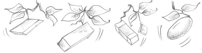 Иллюстрация к книге — Оленёнок Дейзи, или Волшебное копытце [i_027.jpg]