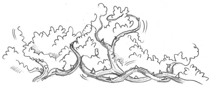 Иллюстрация к книге — Оленёнок Дейзи, или Волшебное копытце [i_030.jpg]