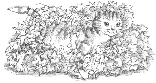 Иллюстрация к книге — Овечка Грейс, или Секретная песня [i_005.jpg]