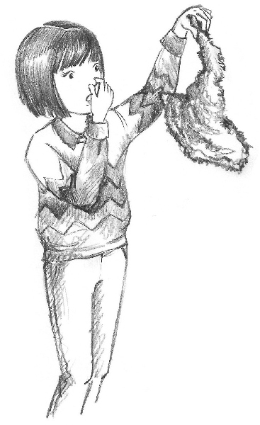 Иллюстрация к книге — Овечка Грейс, или Секретная песня [i_013.jpg]