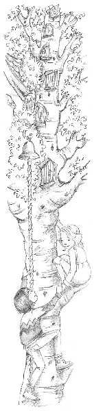 Иллюстрация к книге — Овечка Грейс, или Секретная песня [i_021.jpg]