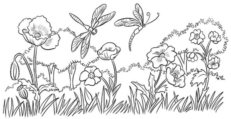 Иллюстрация к книге — Облачный единорог [i_042.jpg]