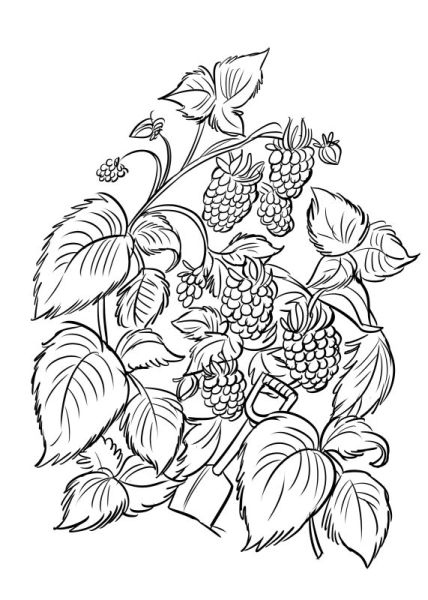 Иллюстрация к книге — Тайна лейки-уменьшайки [i_031.jpg]