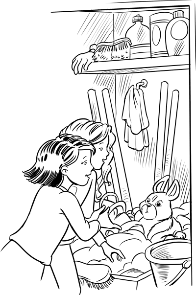 Иллюстрация к книге — Что снится единорогам? [i_039.jpg]