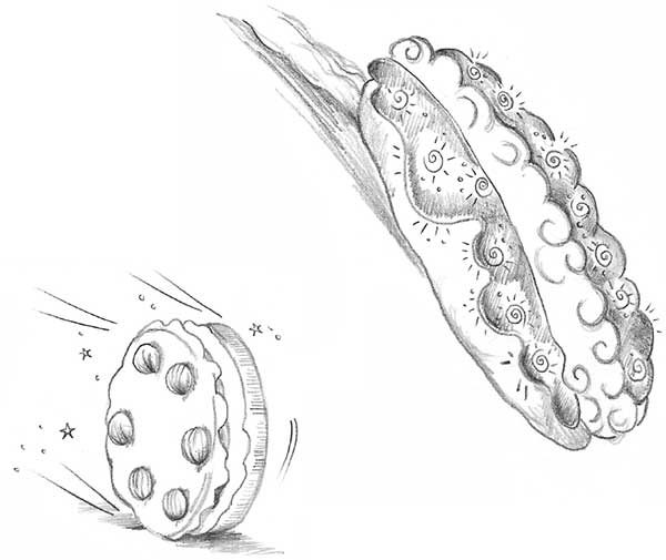 Иллюстрация к книге — Щенок Жасмин, или Золотая молния [i_027.jpg]