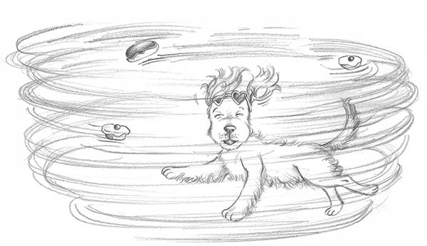 Иллюстрация к книге — Щенок Жасмин, или Золотая молния [i_034.jpg]