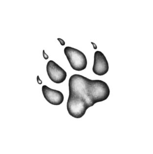 Иллюстрация к книге — Опасная дружба [i_001.jpg]