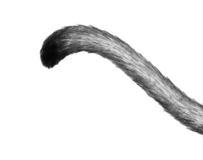 Иллюстрация к книге — Опасная дружба [i_003.jpg]