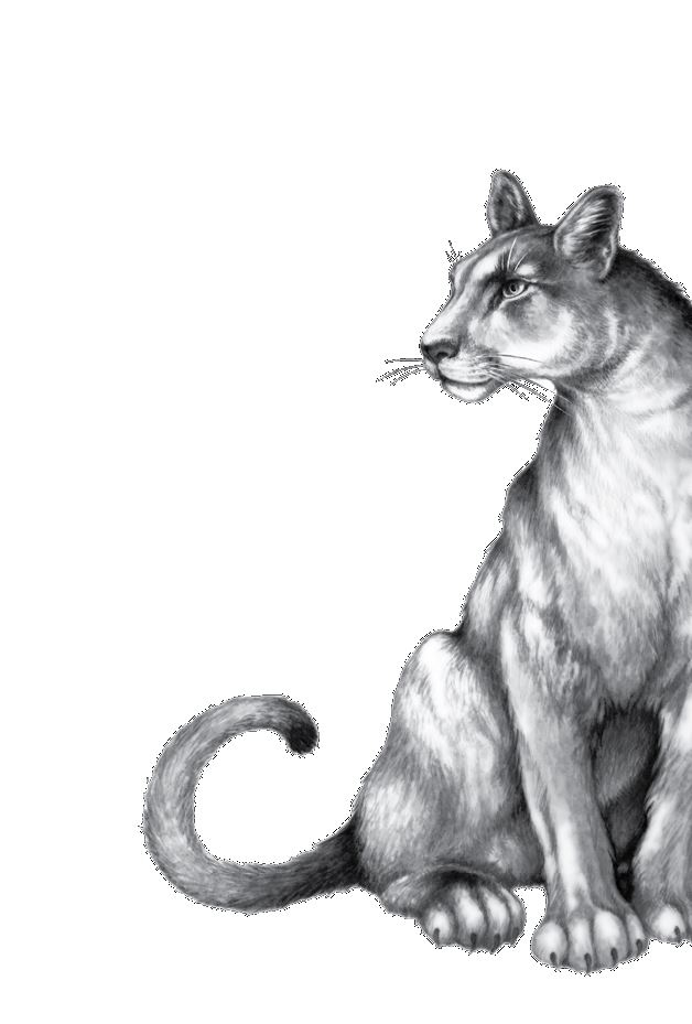 Иллюстрация к книге — Опасная дружба [i_004.jpg]