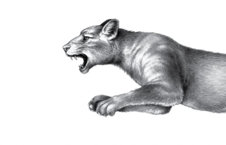 Иллюстрация к книге — Опасная дружба [i_010.jpg]