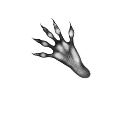 Иллюстрация к книге — Опасная дружба [i_011.jpg]