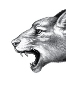 Иллюстрация к книге — Опасная дружба [i_013.jpg]