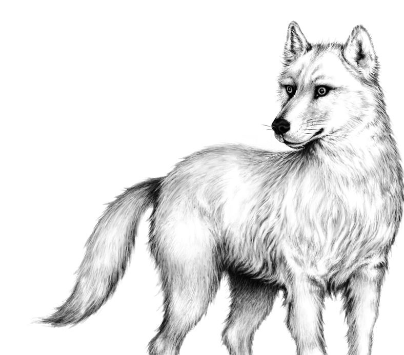 Иллюстрация к книге — Опасная дружба [i_014.jpg]