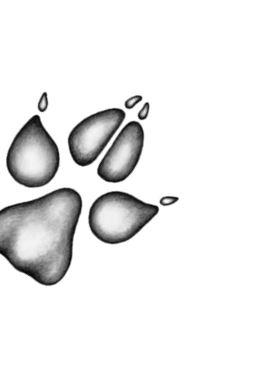 Иллюстрация к книге — Опасная дружба [i_019.jpg]