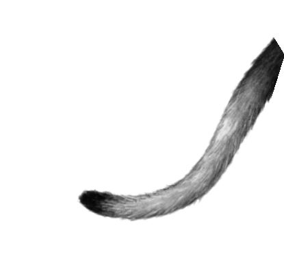 Иллюстрация к книге — Опасная дружба [i_023.jpg]