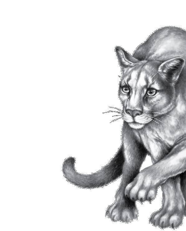 Иллюстрация к книге — Опасная дружба [i_025.jpg]