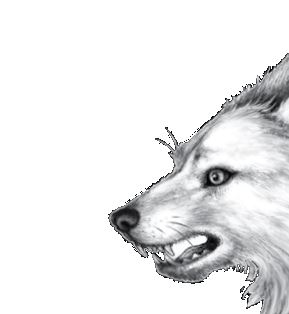 Иллюстрация к книге — Опасная дружба [i_026.jpg]