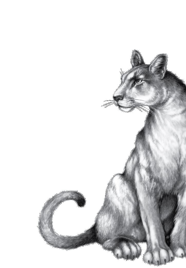 Иллюстрация к книге — Опасная дружба [i_027.jpg]