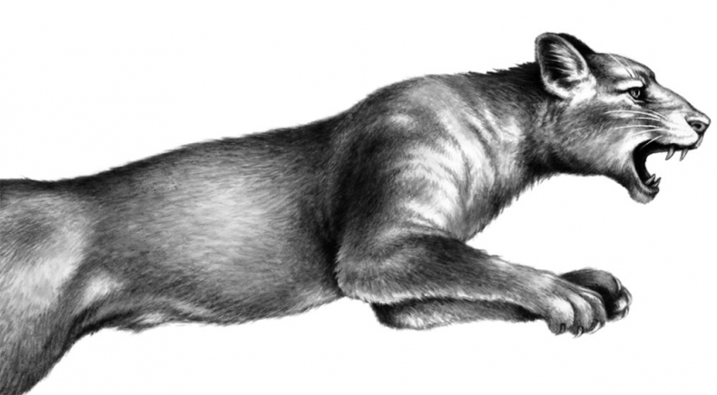 Иллюстрация к книге — Опасная дружба [i_029.jpg]