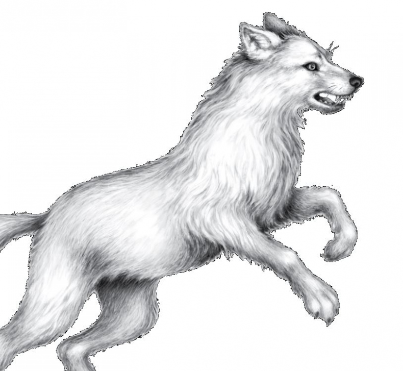 Иллюстрация к книге — Опасная дружба [i_035.jpg]