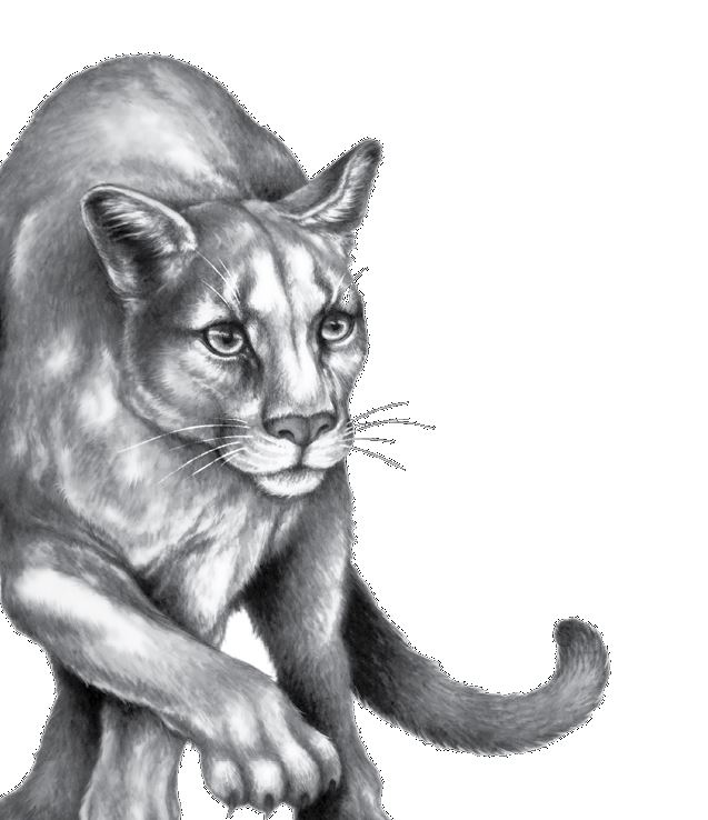 Иллюстрация к книге — Опасная дружба [i_036.jpg]