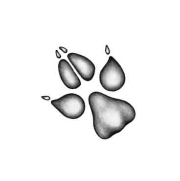 Иллюстрация к книге — Опасная дружба [i_043.jpg]