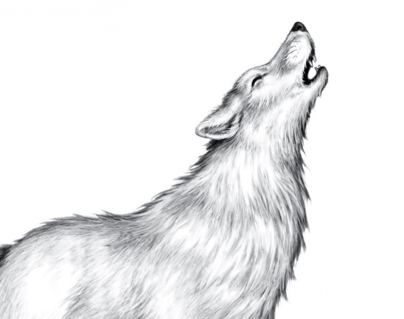 Иллюстрация к книге — Опасная дружба [i_045.jpg]