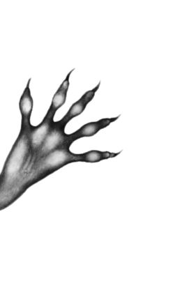 Иллюстрация к книге — Опасная дружба [i_050.jpg]