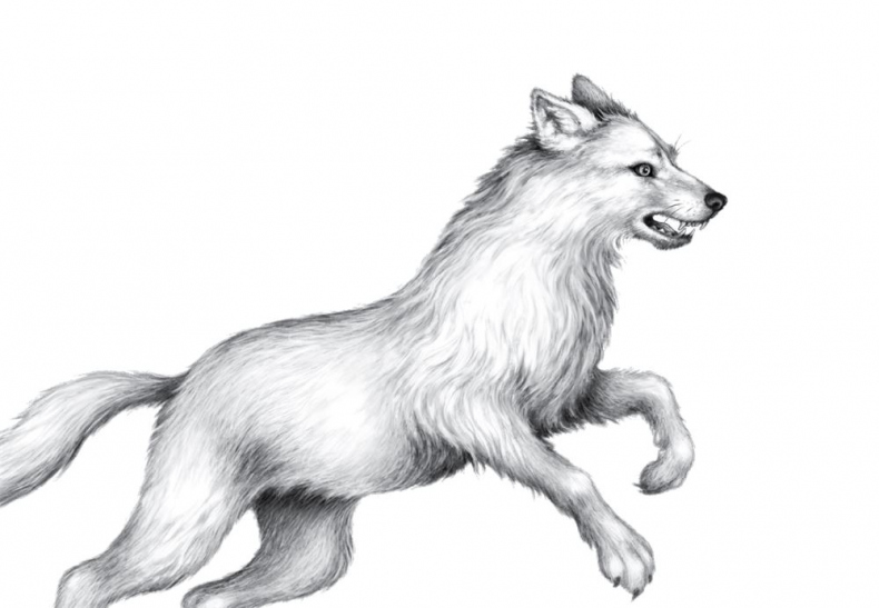 Иллюстрация к книге — Опасная дружба [i_051.jpg]