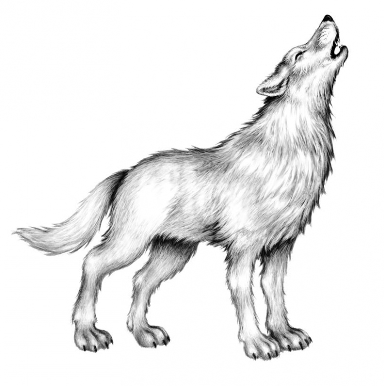 Иллюстрация к книге — Опасная дружба [i_053.jpg]