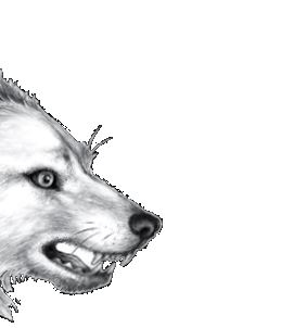 Иллюстрация к книге — Опасная дружба [i_054.jpg]