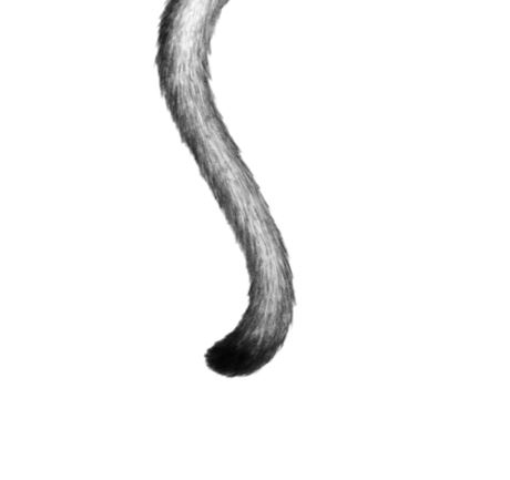 Иллюстрация к книге — Опасная дружба [i_060.jpg]