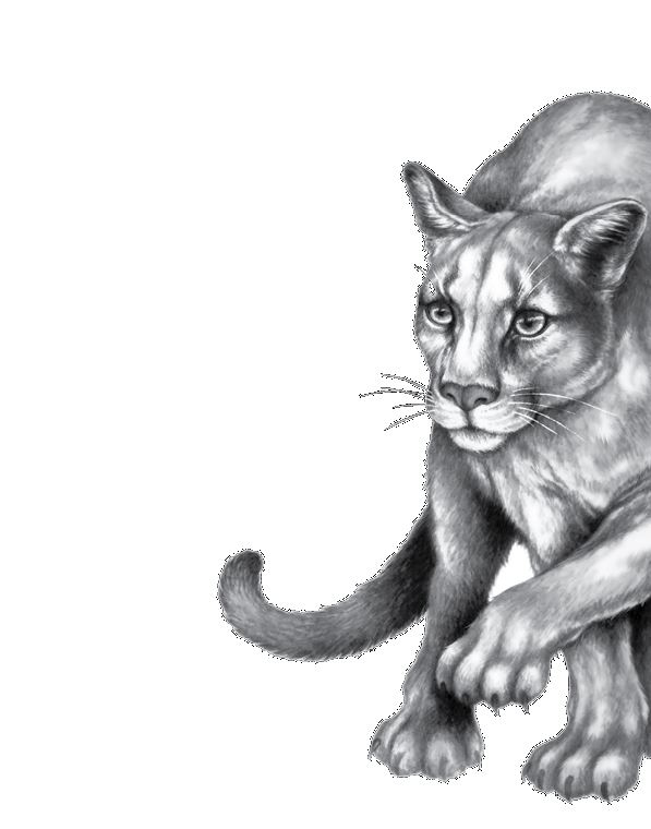 Иллюстрация к книге — Опасная дружба [i_065.jpg]