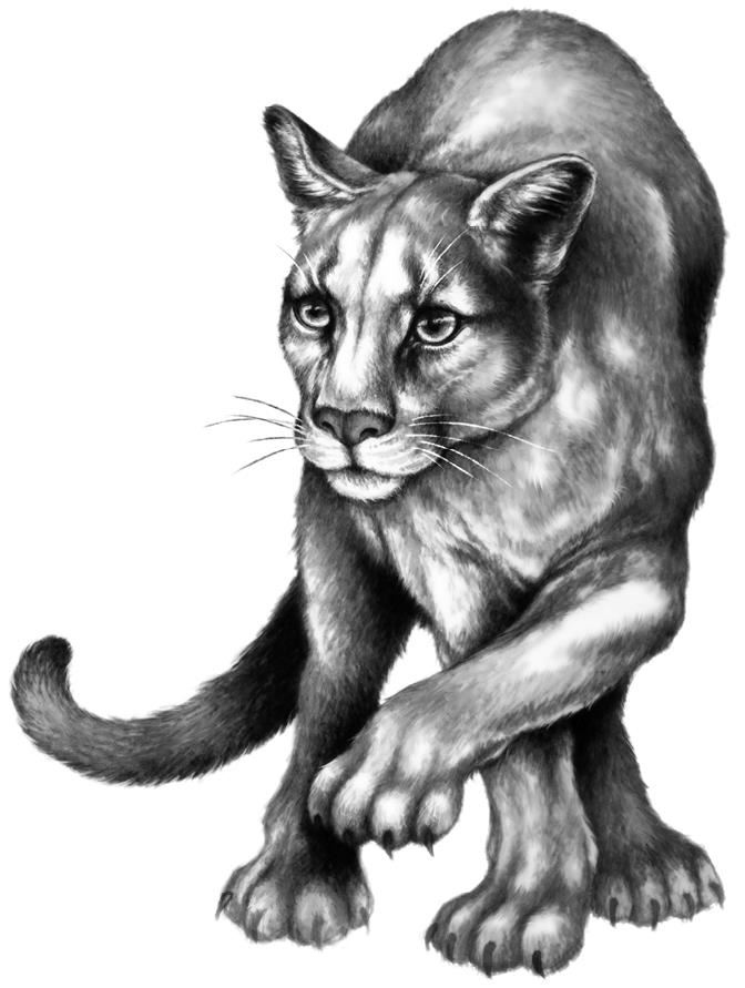 Иллюстрация к книге — Превращение Карага [b00000141.jpg]