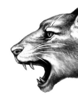 Иллюстрация к книге — Превращение Карага [b00000201.jpg]