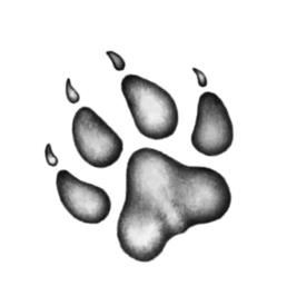 Иллюстрация к книге — Превращение Карага [b00000295.jpg]