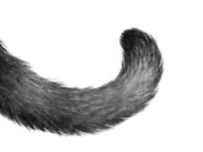 Иллюстрация к книге — Превращение Карага [b00000373.jpg]