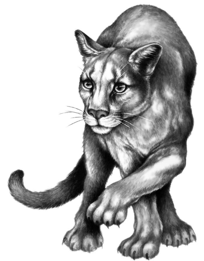 Иллюстрация к книге — Превращение Карага [b00000547.jpg]