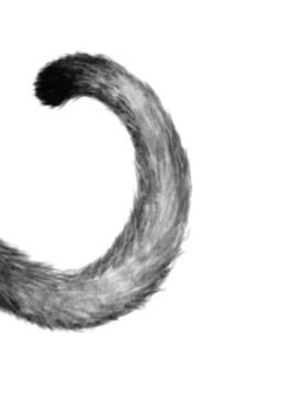 Иллюстрация к книге — Превращение Карага [b00000617.jpg]