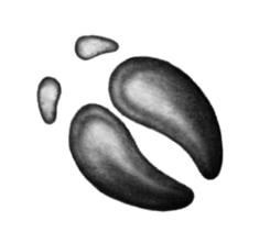 Иллюстрация к книге — Превращение Карага [b00000730.jpg]